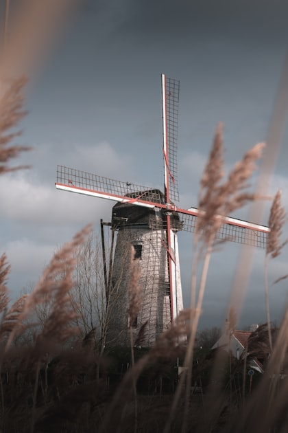 Connecting with Windmiller Relatives