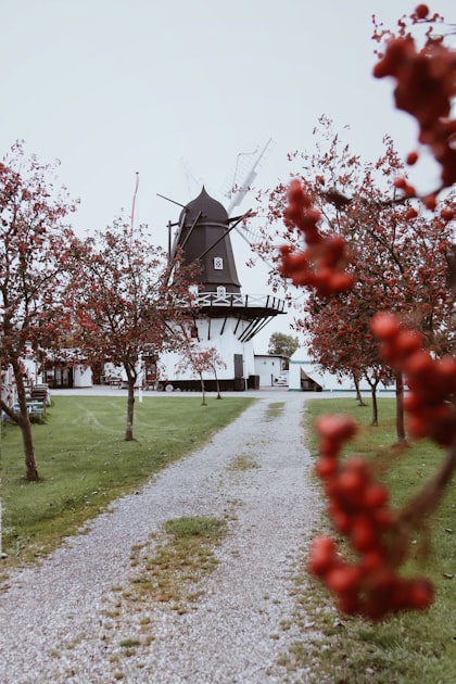Windmiller Family Genealogy Resources